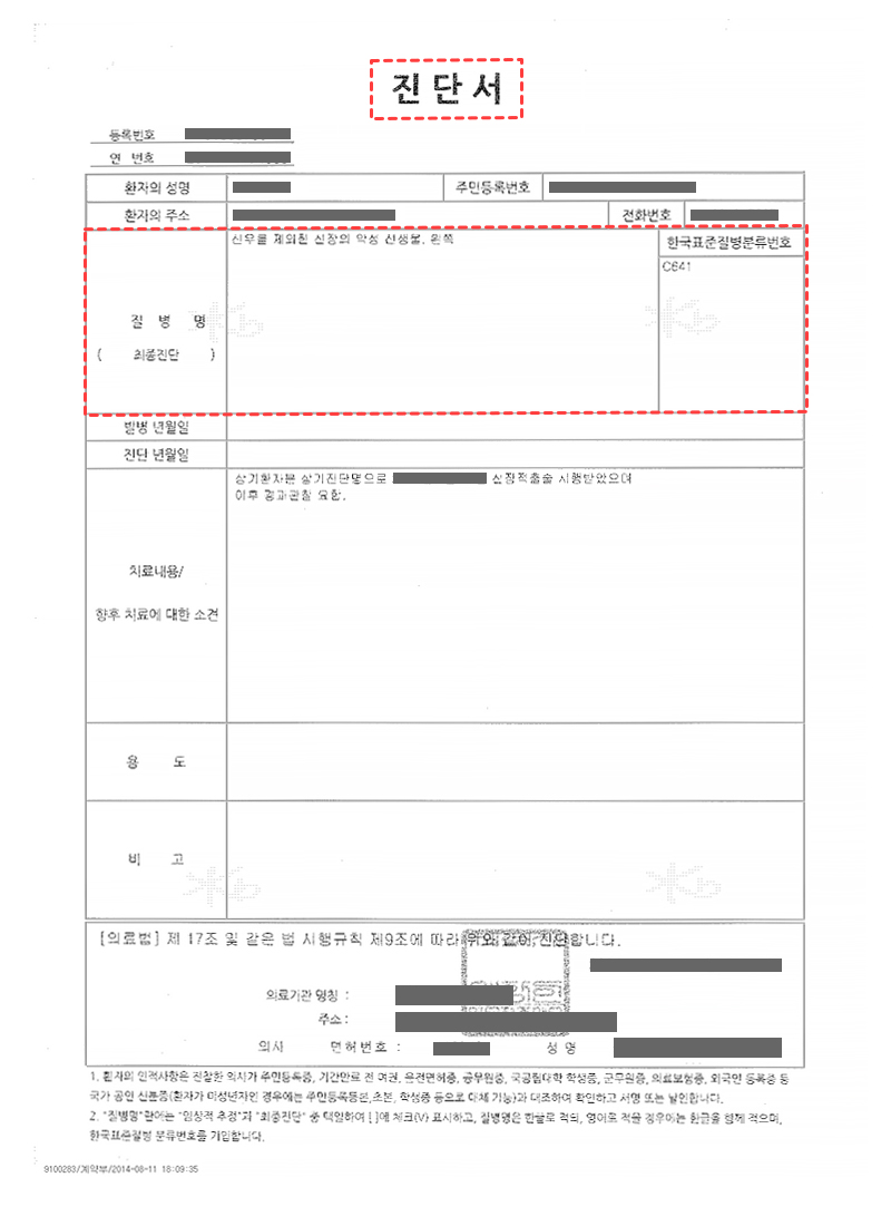 진단서 예시 이미지